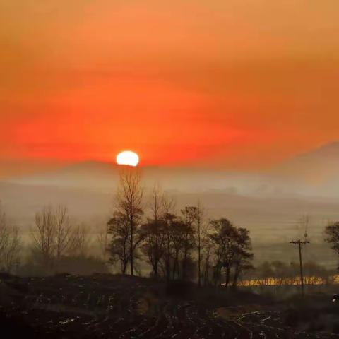 高昌：从“一枝红杏出墙来”看起承转合的重要性。