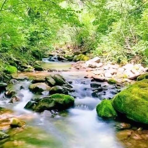 诗词写作，化用古人诗句的五种方法