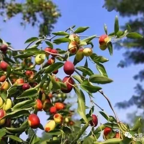 格 律 诗 口 诀 集 锦