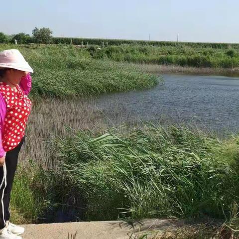 加大巡查力度，预防溺水发生