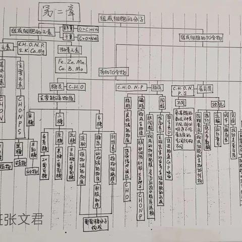 看我漂亮的书写！——高一宏志级部优秀作业展