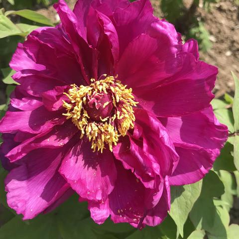 关注“视”界，健康生活——华苑小学第八周疫情防控教育主题学习