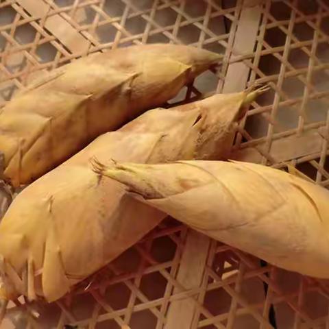 冬季将至，多吃五种根菜最养生，冬笋解腻山药补气。