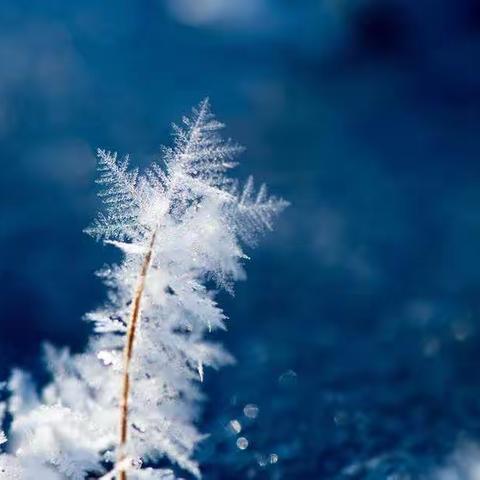 今日立冬，寒气到，万物收藏也。