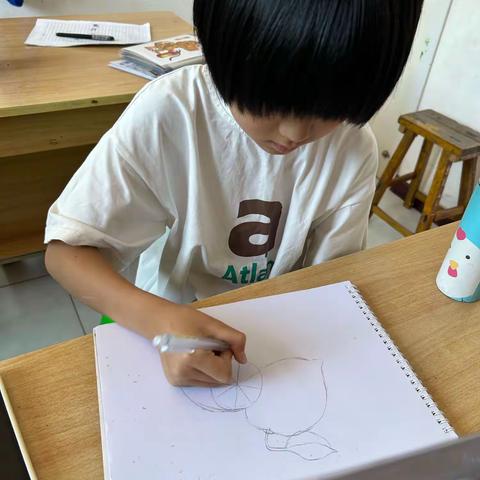 水果花卉色彩线条练习