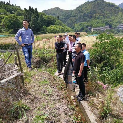 大若岩镇召开白泉村旱改水项目暨高标准农田建设项目评审会