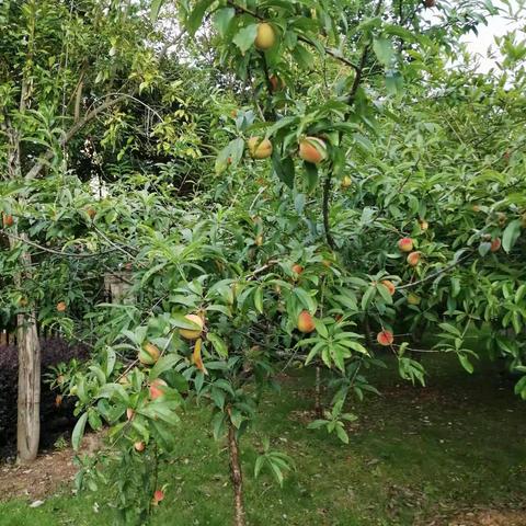 发挥民间外交优势，拓宽中美人民沟通渠道