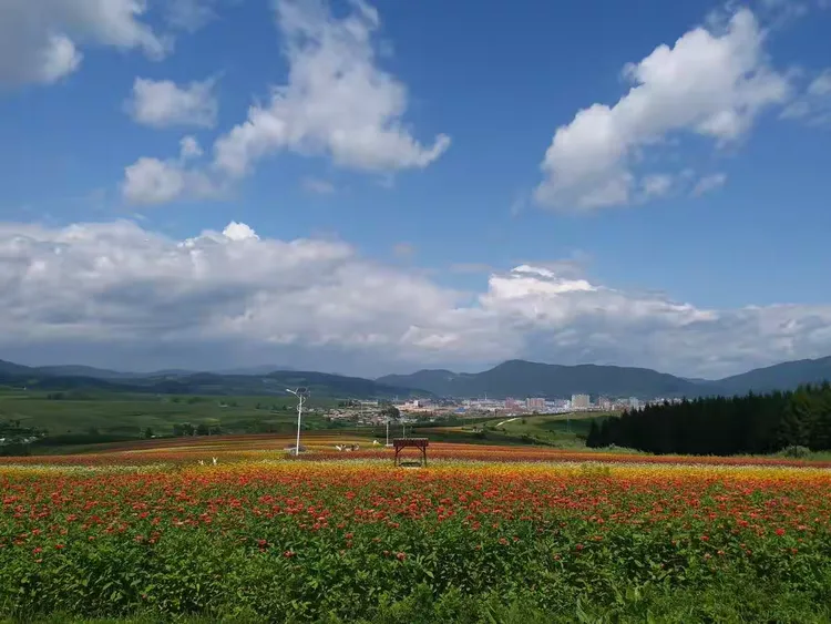2019图们日光山花海