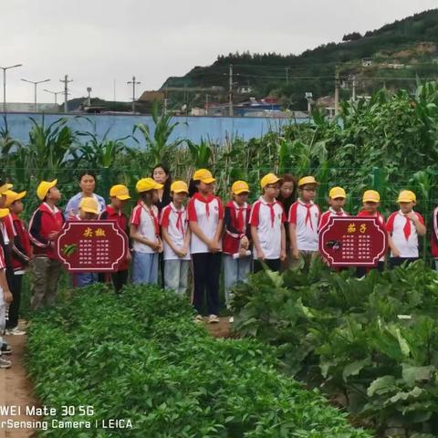 走进小菜园    体验大世界