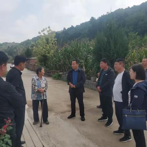 督查调研促提升，多方发力谋振兴