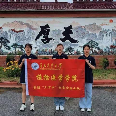 科技小院助力乡村振兴，青农学子响应国家号召