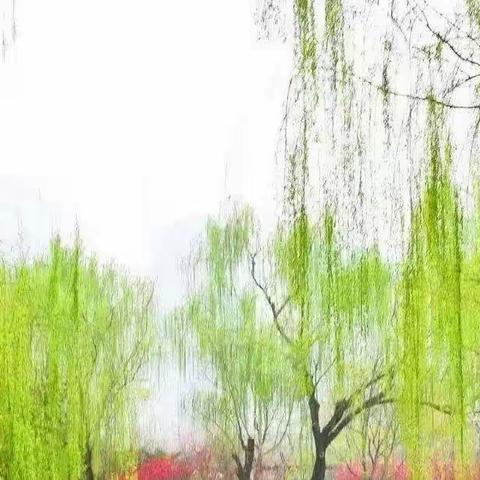 君法王座的美篇