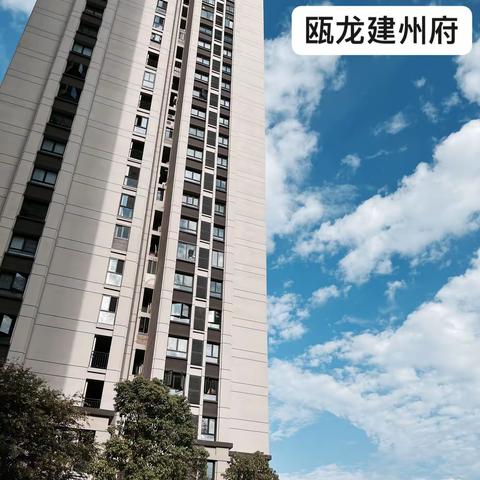 瓯龙建州府12月第二周工作周报