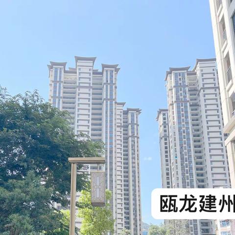 瓯龙建州府12月第一周工作周报