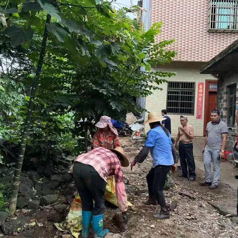 新联村全力推进人居环境整治“秋季攻坚”工作