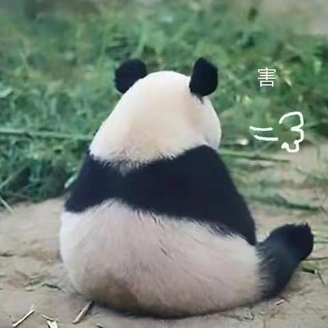 爱人先爱己，不要和自己过不去