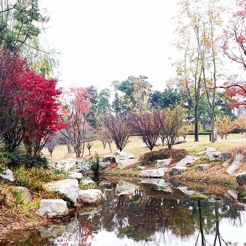 删繁就简三秋树——成都金牛宾馆掠影