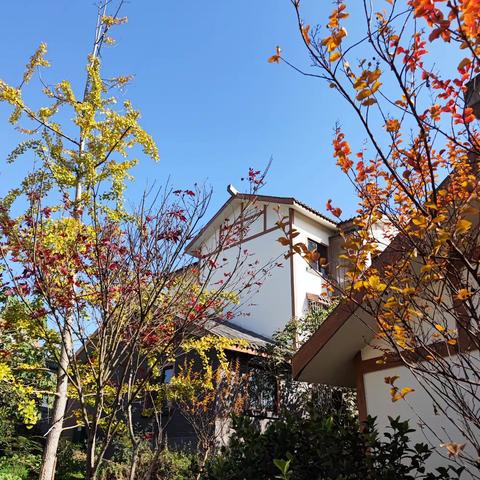 林盘里的我，山水间的家