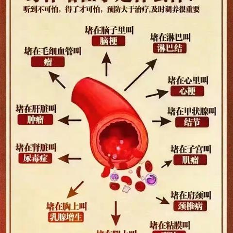 神辅离啦的美篇