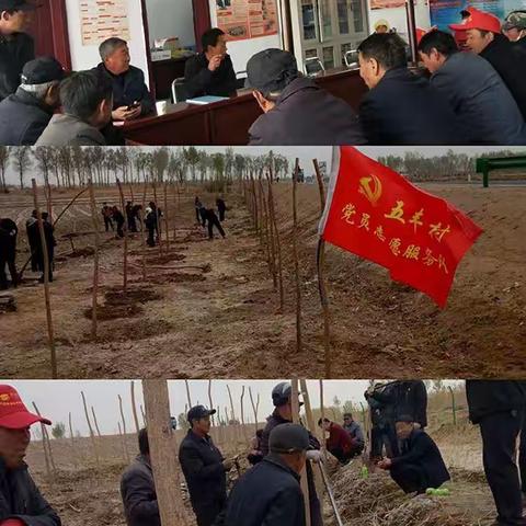 五丰村王芳的美篇