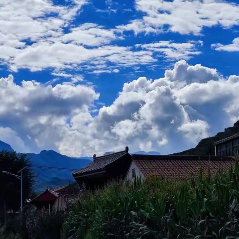 【不忘初心 砥砺前行】﻿奋进中的景古镇（8月7日）