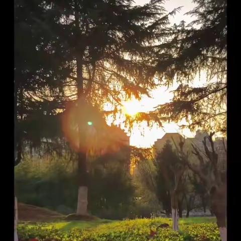 大自然 ❤️❤️❤️❤️