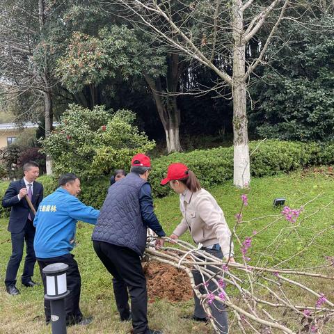 “拥抱春天,播种希望”湘麓山庄植树节活动进行时……