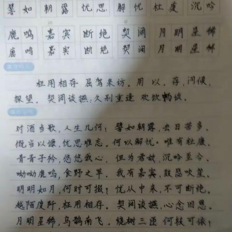 高晋文的假期预科