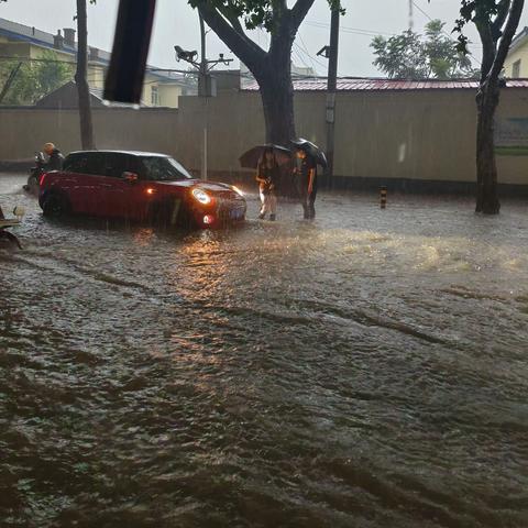 坚做社区守护人 ——红军大街社区党委书记 孙婧