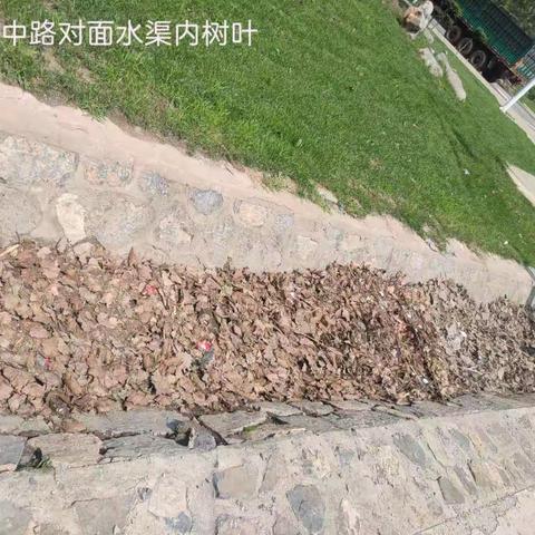爱卫办开展国家卫生县城专项督查（十六）