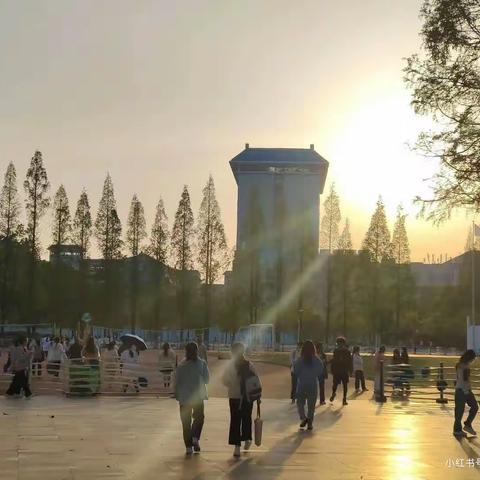 我的母校—襄阳职业技术学院