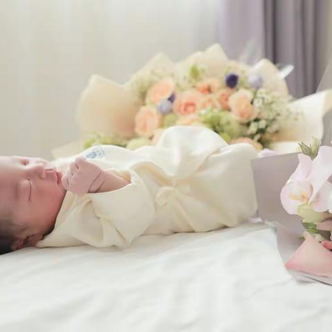 咪仔的出生日记