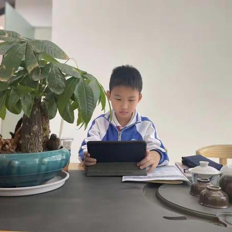 停课不停学，学习不延期——华丽小学数学科组第三周线上教学小结