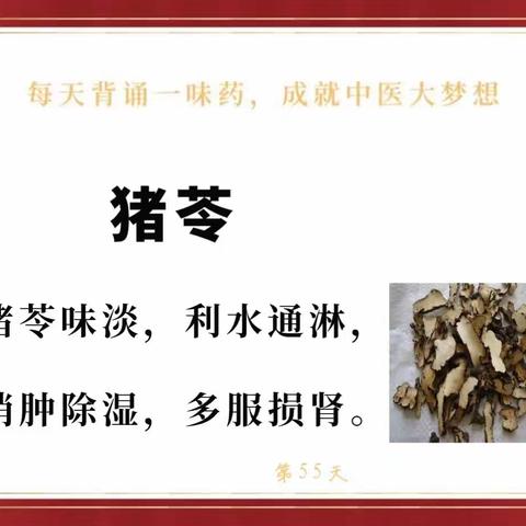 致青春.的美篇