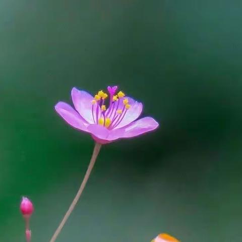 多汗症中医解读：从中医角度理解多汗症的病因和治疗方法