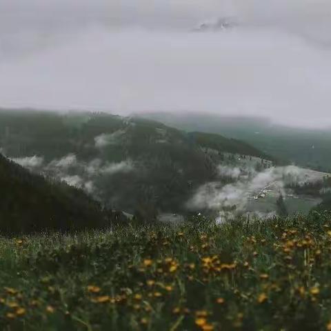 大量出汗的人体质好吗？【内服案例简述一篇】