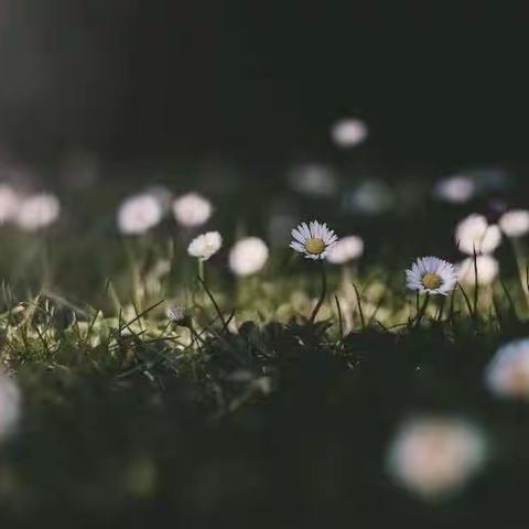 白天汗出不止？中医解答自汗的产生