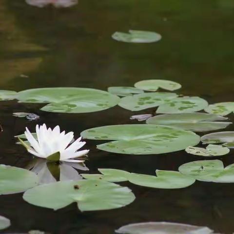 多汗症带来的危害，你了解吗？