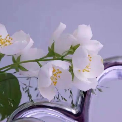 中医解读：多汗症会遗传下一代吗？