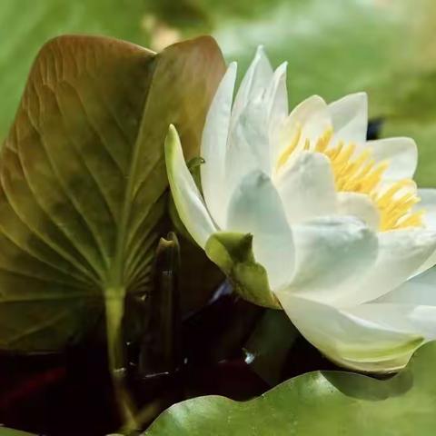 对于多汗症中医有话说