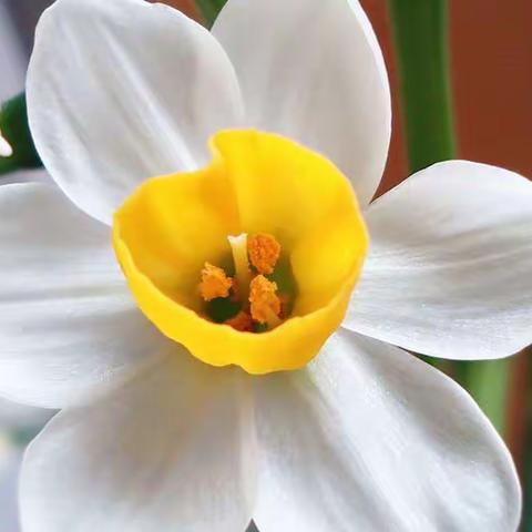 今日立春•庚子年正月十一