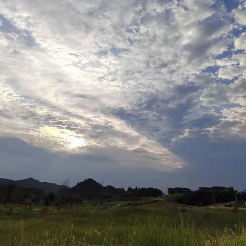 大自然的美化之环保小卫士—南高嘉陵初2022级6班   蒲亨语