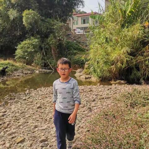 美丽的小山村