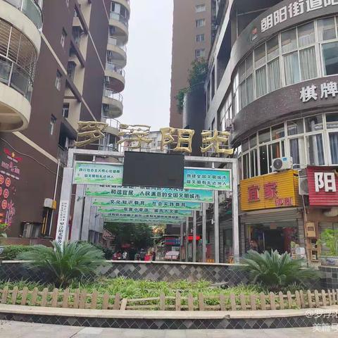 罗浮阳光8月23日服务简报