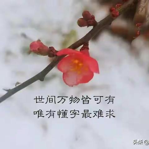 一年级下册生字组词