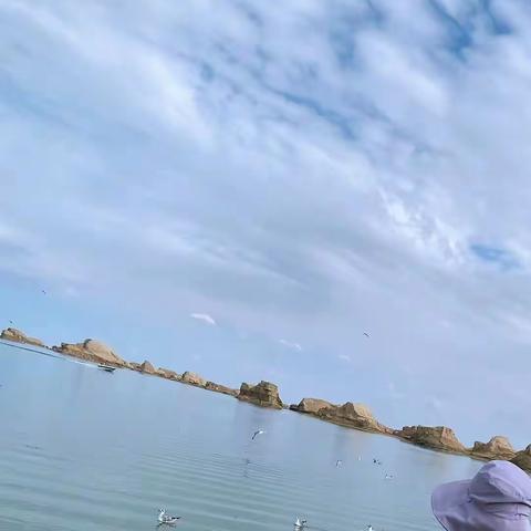 我最想养的小动物