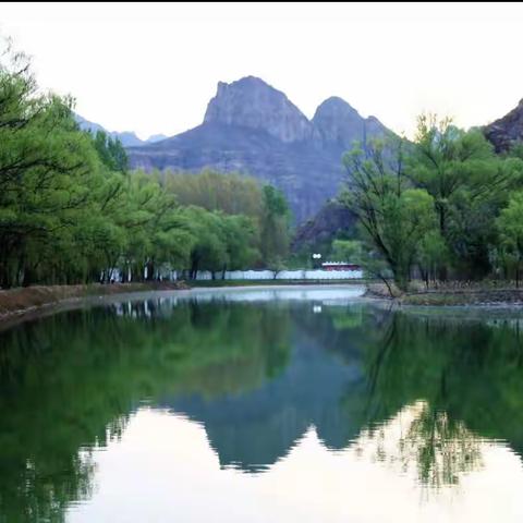 绿水青山就是金山银山