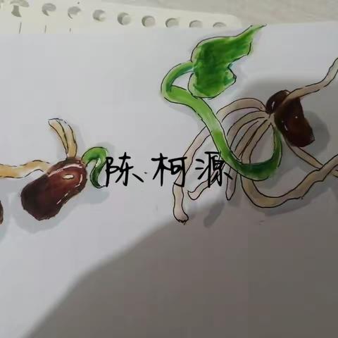 2204生物优秀作业