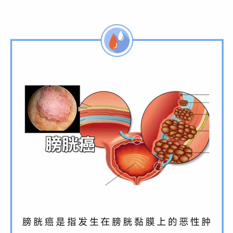 丫丫的美篇