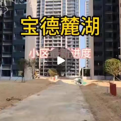 宝德麓湖楼盘最新进度